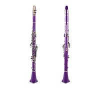 KLKL clarinetto Viola Addominali Clarinetto BB Cupronickel Placcato Nickel 17 Key con i Guanti per la Pulizia Guanti Strumento di Legno del cacciavite