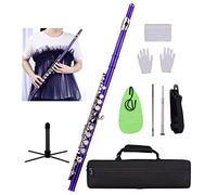 KLKL Foro Chiuso C Flute 16 Tasti Cupronickel Strumento di Vento Nichelato Cupronick con Custodia da Trasporto Stand Flauto Altri Accessori Flauto Studenti (Color : Purple)