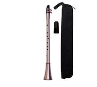 KLKL Sassofoni Sassofono Tascabile Addominali Sax Mini Sassofono Portatile Piccolo Sassofono con Sacchetto di Trasporto Strumento di Legno Sax Principiante (Color : C Key)