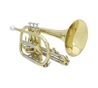 KLKL Trombe Standard BB Professionale BB Ottone Cornetto con Custodia di Stoccaggio Guanti Kit Spazzola per Grasso per La Pratica del Concerto