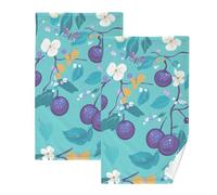KLL Fresh Damson Fruit Teal yoga asciugamano in microfibra asciugamani per cucina asciugamani decorativi doccia bagno asciugamano viso cotone asciugamani da palestra set di 2, dimensioni 40,6 x 71,1