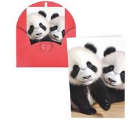 KLLTYHMU Biglietti di ringraziamento con buste, baby panda, 10,2 x 15,2 cm, set di 1 biglietto di auguri per note personalizzate, biglietti formali per tutte le occasioni, adatti per piccole imprese
