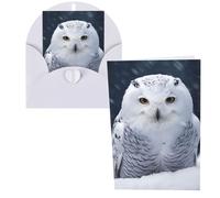 KLLTYHMU Biglietti di ringraziamento con buste, gufo delle nevi 10 x 15 cm, set di 1 biglietto di auguri per note personalizzate, biglietti formali per tutte le occasioni, adatti per piccole imprese