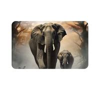 KLLTYHMU Zerbino in flanella, morbido, assorbente, per interni ed esterni, antiscivolo, lavabile, tappeto da bagno con elefante nella nebbia, 50 x 80 cm, per cucina, camera da letto, bagno