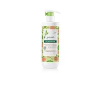Klorane Junior Shampoo Districante all'Avena BIO Odore Pesca 500ml