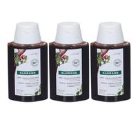 KLORANE Shampoo alla Chinina e Stella Alpina Bio 3x100 ml