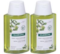 KLORANE Shampoo alla polpa di Cedro 2x100 ml