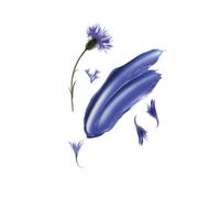 KLORANE (Pierre Fabre It. SpA) KLORANE SHAMPOO CENTAUREA 200ML