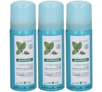KLORANE Shampoo Secco alla Menta Acquatica BIO 3x50 ml Shampoo