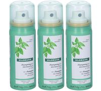KLORANE Shampoo Secco Ortica 3x50 ml