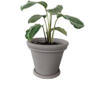 Kloris vaso fioriera circolare TONDO LISCIO 50 TORTORA polietilene diametro esterno cm 50 altezza e profondità cm 40 SOTTOVASO INCLUSO