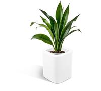 Kloris Vaso fioriera colonna quadrata cm 30x30x35 h mod. CANDY polietilene bianco. Made in Italy