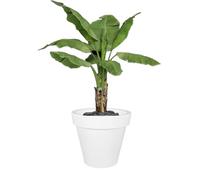 Kloris Vaso Tondo Circolare Moderno fioriera ROMANO 70 bianco - polietilene diametro esterno cm 70 altezza cm 63