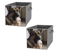 KLWQR Cestini cubici pieghevoli, impermeabili, con manici, a forma di cane che ama il gelato, per casa, armadi, uffici, camere da letto, 2 pezzi