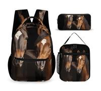 KLWQR Zaino con due cavalli in piedi su sfondo nero, per donne e uomini, leggero e impermeabile, con portapranzo, astuccio da viaggio, zaino per computer portatile, casual, stile, taglia unica