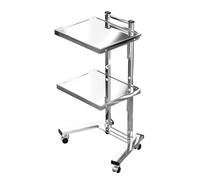 KLYDBMYT Carrello mobile in metallo a 2 ripiani, carrello da cucina in acciaio inossidabile, carrello pieghevole per caramelle in metallo, per estetisti, saloni e negozi (argento)