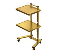 KLYDBMYT Carrello mobile in metallo a 2 ripiani, carrello da cucina in acciaio inossidabile, carrello pieghevole per caramelle in metallo, per estetisti, studi di bellezza e negozi (oro)