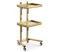 KLYDBMYT Carrello portaoggetti in acciaio inossidabile a 3 livelli con ruote per salone, cucina, salone di bellezza, colore oro