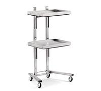 KLYDBMYT Carrello portaoggetti in metallo con ruote per camera da letto o negozio di tatuaggi, supporto per salone in acciaio inossidabile con vassoio, carrello da cucina multiuso a 2 livelli