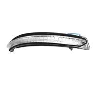 KMAGE Indicatore Di Direzione Per Specchietto Laterale Per NISSAN Per X-Trail T32 Per Qashqai J11 Per Murano Z52 2014-2019 Indicatore Di Direzione(Right side)