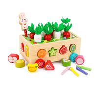 KMTJT Giochi Bambini Bimba 1 2 Anni, Giochi Montessori 1 Anno 2 3 Anni, Giocattoli Bambino Bambina Regalo Natale, Giochi Educativi in Legno per Bambini