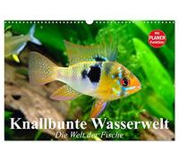 Knallbunte Wasserwelt. Die Welt der Fische (Wandkalender 2026 DIN A3 quer), CALVENDO Monatskalender: Die bunte Welt der Fische und Wasserbewohner