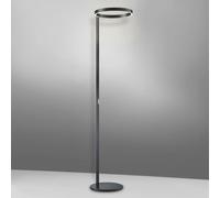 Knapstein Lana proiettore a soffitto, LED, 41.983.07, Lana [Lampade per Interni > Lampade a piantana]