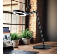 Knapstein TESSA lampada da tavolo LED con CCT, 61.628.07, TESSA-T; TESSA [Lampade per Interni > Lampade da Tavolo]