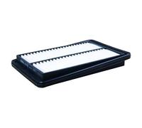 Bauknecht LX 4138 Motor camere