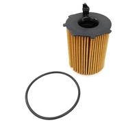 Knecht OX 171/16D Filtro Motore