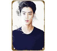 KNIOIL Cha Eun Woo Cha Eun Woo Idol Kpop Poster Vintage Metal Tin Sign Logo Family Club Bar Cafe Camera da letto Decorazione artistica da parete Regalo 20,3 x 30,5 cm