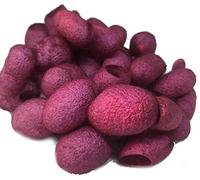 Knitsilk Bozzoli di seta tinti a mano, fibre di seta di gelso, confezione da 30 (rosa corallo)