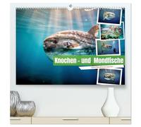 Knochen - und Mondfische (hochwertiger Premium Wandkalender 2027 DIN A2 quer), Kunstdruck in Hochglanz: Ein Fisch, der wie ein verlorenes Stück Himmel durch die Tiefe schwebt.