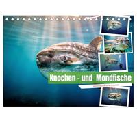 Knochen - und Mondfische (Tischkalender 2027 DIN A5 quer), CALVENDO Monatskalender: Ein Fisch, der wie ein verlorenes Stück Himmel durch die Tiefe schwebt.