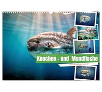 Knochen - und Mondfische (Wandkalender 2027 DIN A3 quer), CALVENDO Monatskalender: Ein Fisch, der wie ein verlorenes Stück Himmel durch die Tiefe schwebt.