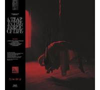 Knocked Loose - A Tear In The Fabric Oflife