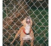 Knocked Loose Pop Culture (Vinyl LP) 12" EP Coloured Vinyl