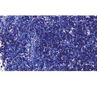 KNORR prandell Flaky Glue 50 ml, blu scuro