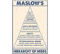 Knowledge Poster in metallo Maslow'S Hierarchy of Needs, targa in metallo retrò, decorazione per il bagno per bar, ristoranti, caffè e bar, 20 x 15 cm, cartello in metallo