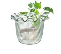 Knowlife Vaso Trasparente, Vaso Per Bouquet Di Fiori, Ideale Per Arredamento Casa Decorazione Interni Balcone Cucina Allestimento Eventi Matrimonio Centrotavola Foto E
