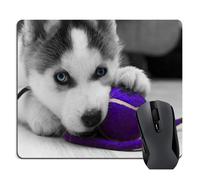 knseva Siberian Husky Pup Playing with Purple Ball Mouse Pad Cute Large Mouse Pads Custom