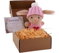 Knubbuf Mini Bunny Hug in a Box Easter Gifts for Kids, Handmade Crochet Pocket Hug with Inspirational Card, Mini Bunny Hug in a Box for Anxiety Relief, Friendship and Family Keepsake (01)