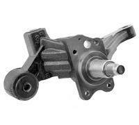 Knuckle Steering Posteriore Destro Per Hyundai Tucson 04-10