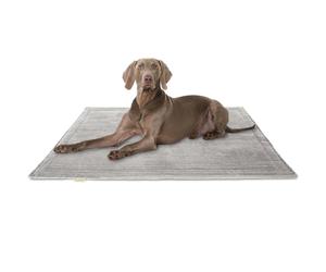 Knuffelwuff Coperta per cani in velluto a coste Timor 140x100cm Grigio chiaro