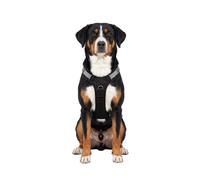 Knuffelwuff Pettorina regolabile per cani Trexor con maniglia L Nero