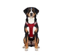Knuffelwuff Pettorina regolabile per cani Trexor con maniglia L Rosso