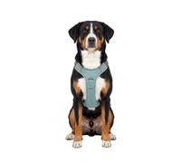 Knuffelwuff Pettorina regolabile per cani Trexor con maniglia L Verde menta