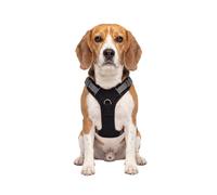 Knuffelwuff Pettorina regolabile per cani Trexor con maniglia M Nero