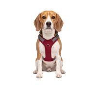 Knuffelwuff Pettorina regolabile per cani Trexor con maniglia M Rosso