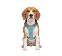 Knuffelwuff Pettorina regolabile per cani Trexor con maniglia M Verde menta